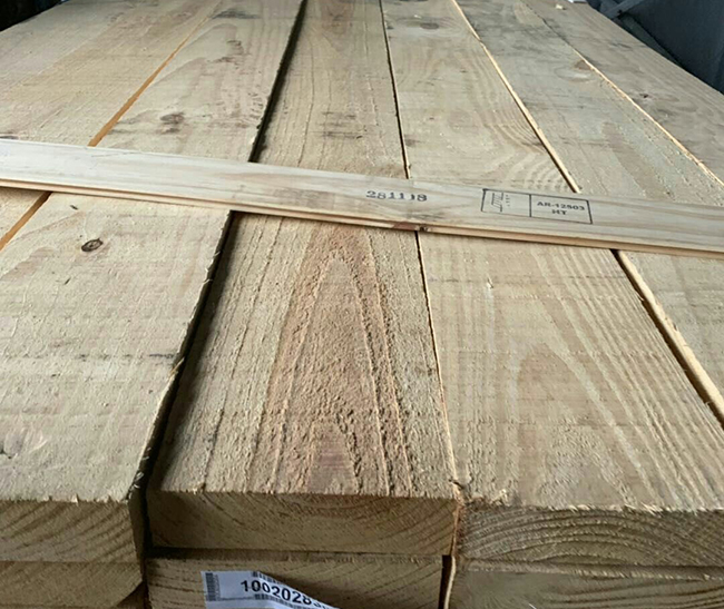 吊罗山乡阿根廷松木